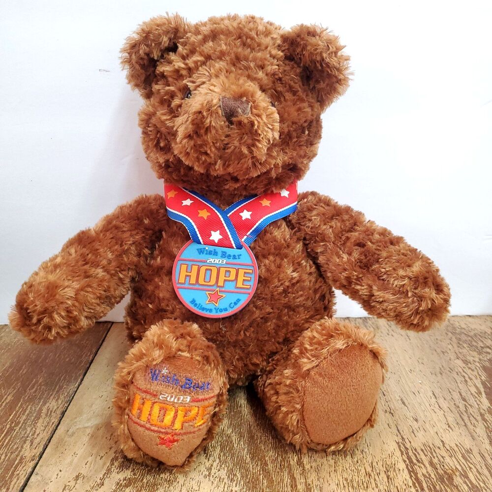 Vintage 2003 GUND Wish Bear Hope Teddy Bear Plush May Department Store Exclusive